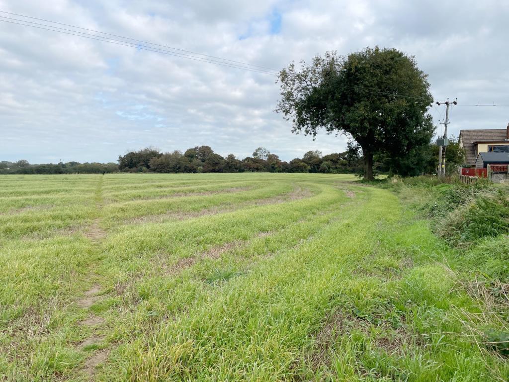 Lot: 95 - ALMOST TEN ACRES OF LAND - General view